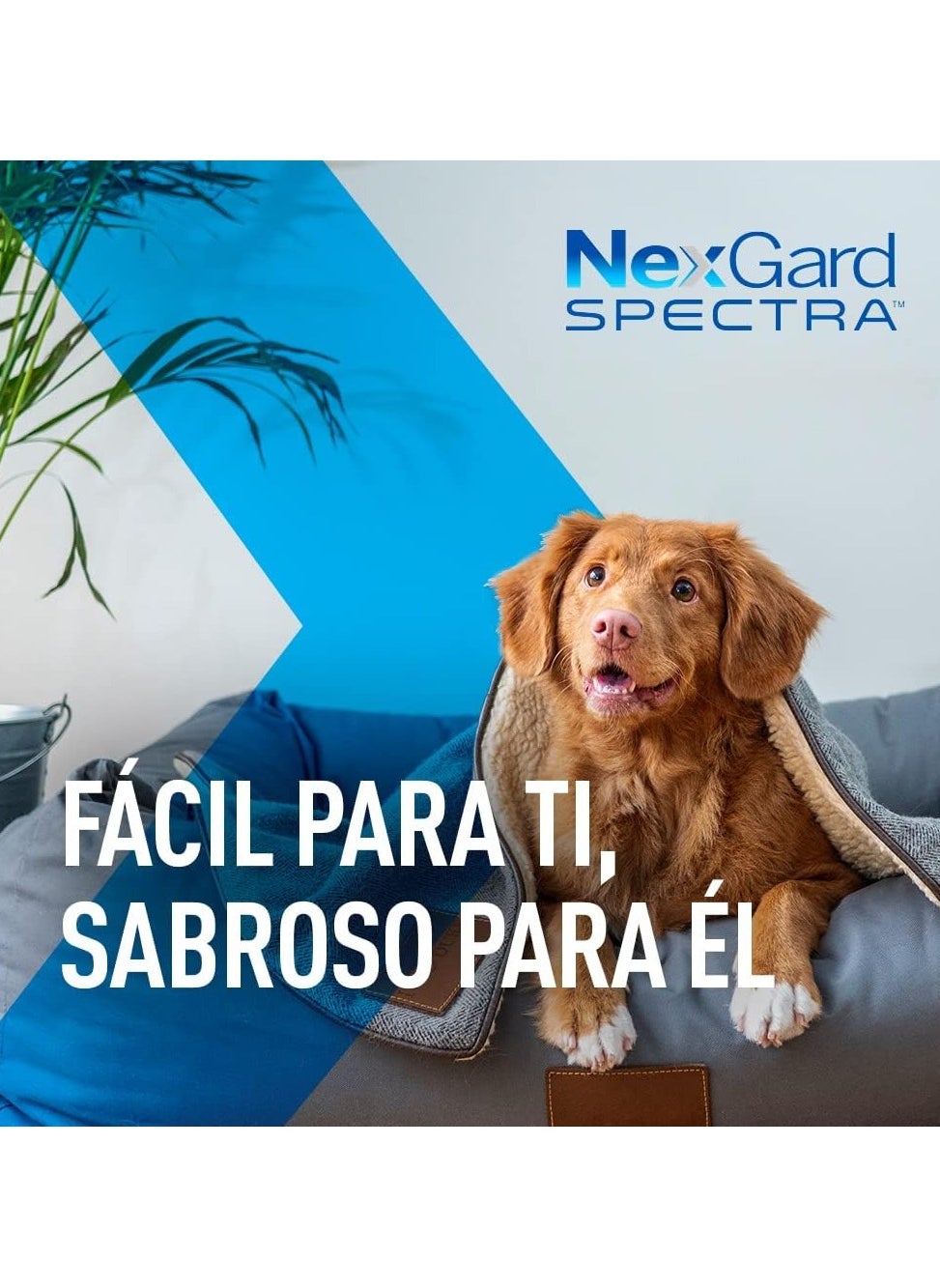 Expiring On-  02/02/2026- Nexgard Spectra L (15.1- 30 Kg)