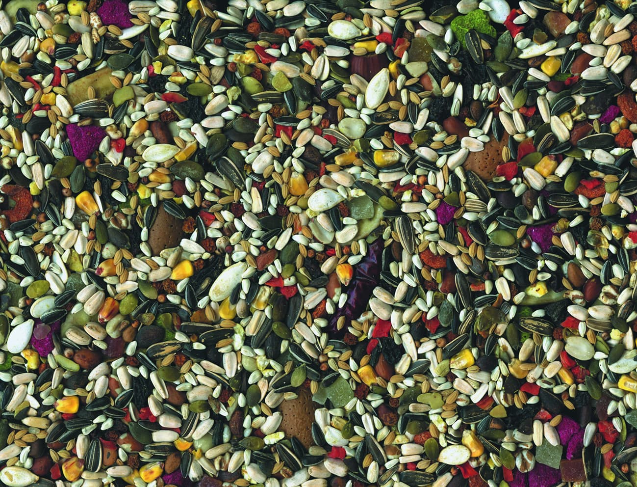 Expiring On- 06/05-  Vadigran Parrot Tropical 2.5 kg With Mix Fruits