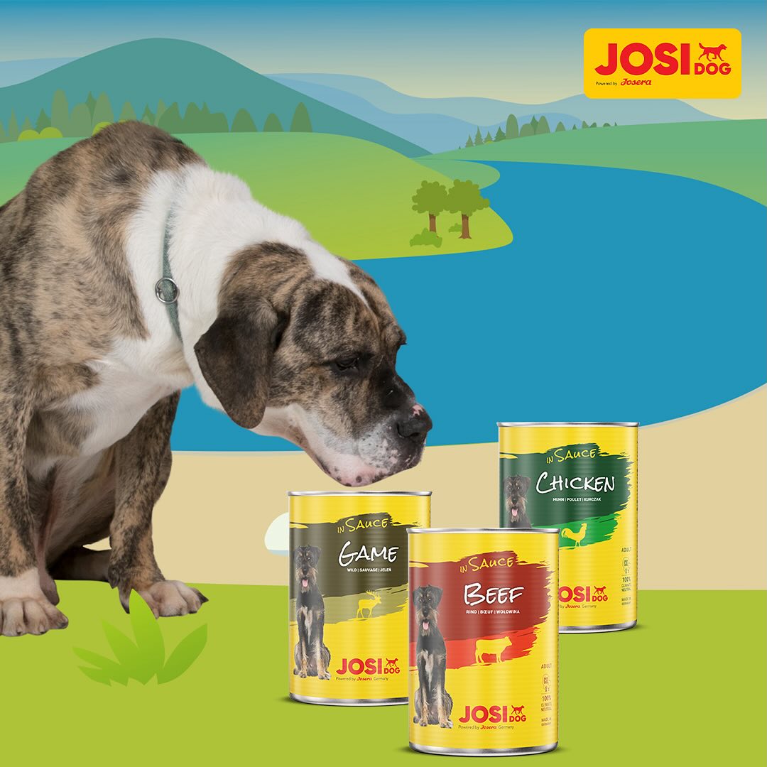 Expiring On- 08/05-  Josera Josi Dog Game in Sauce Wet Food - 415g