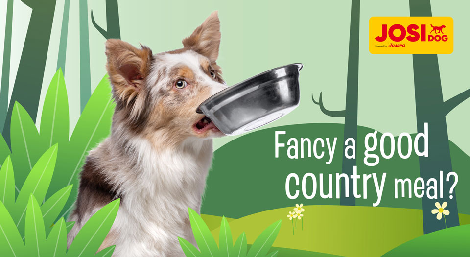 Expiring On- 08/05-  Josera Josi Dog Game in Sauce Wet Food - 415g