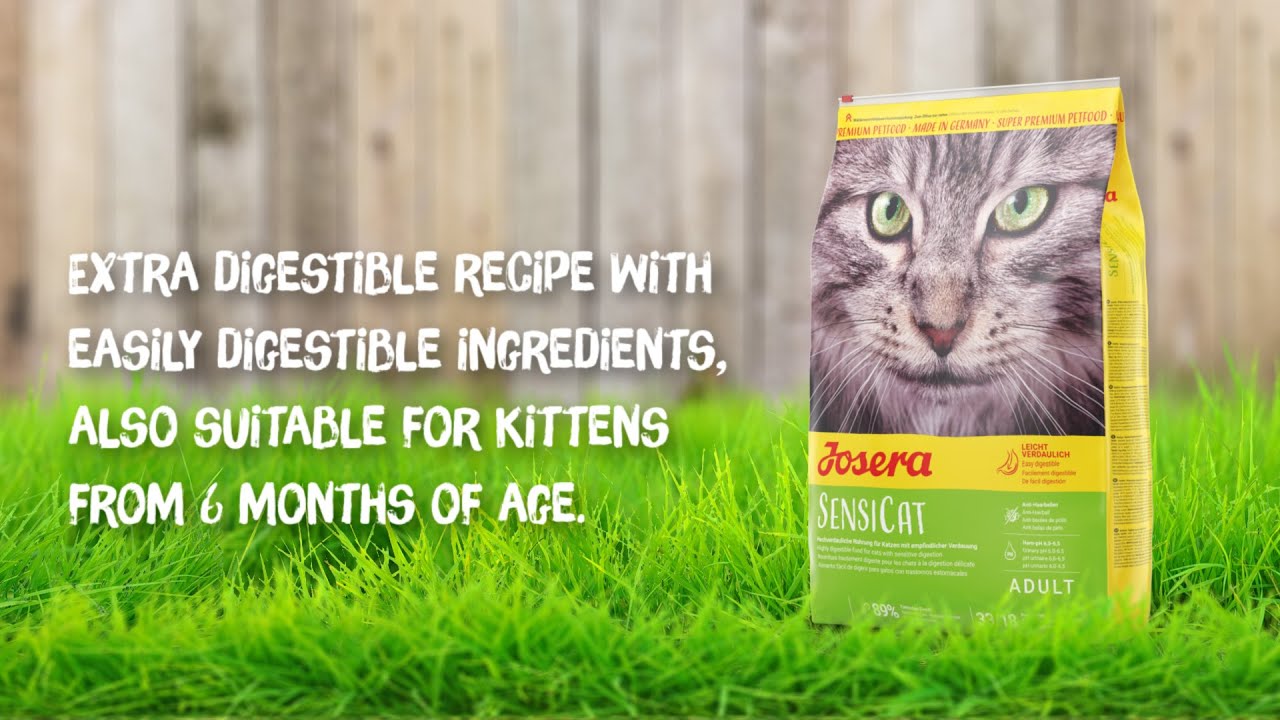 Expiring On- 09/05-  Josera Sensi Cat Dry Food - 2kg