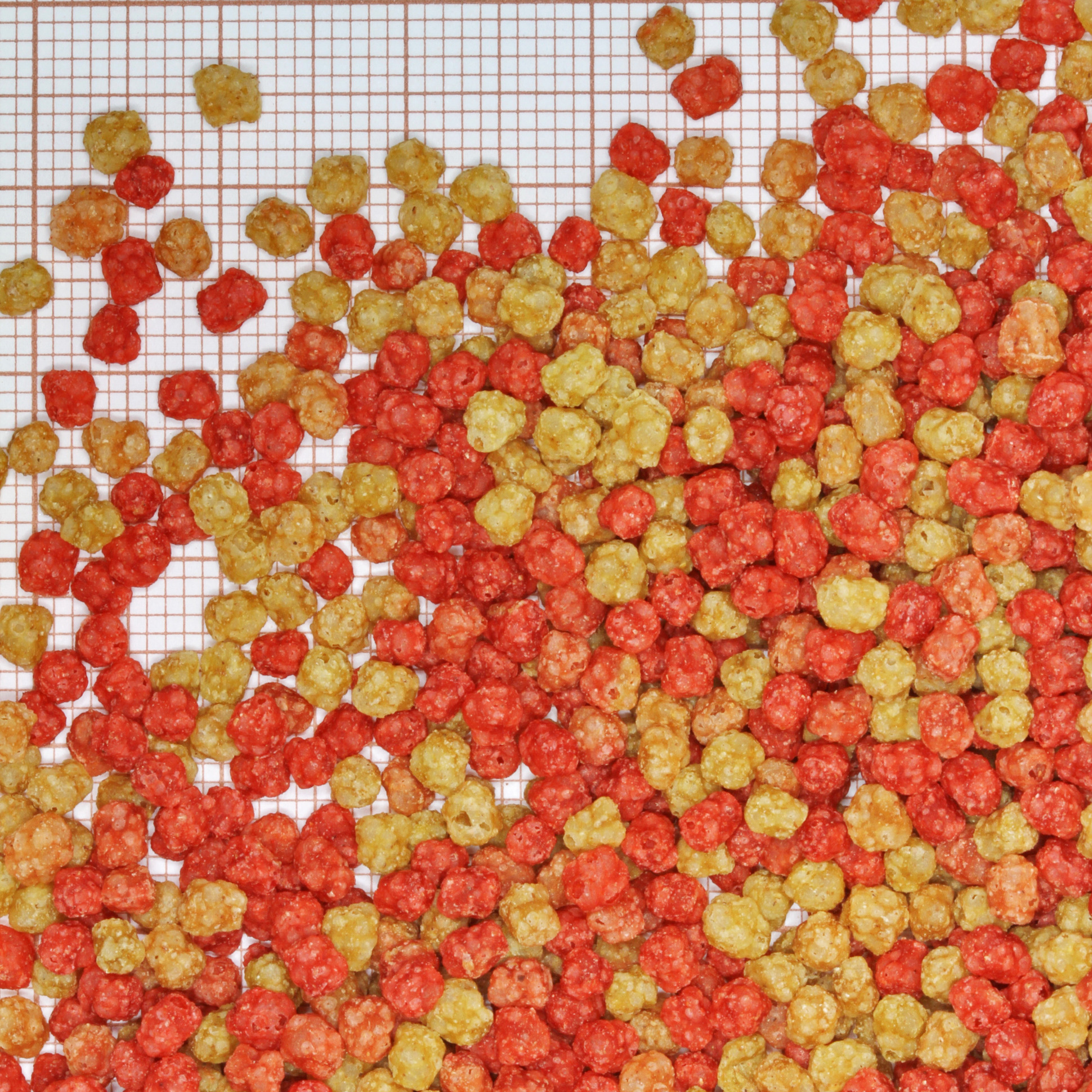 Expiring On-  10/02/2026- JBL ProPond Goldfish XS 1L