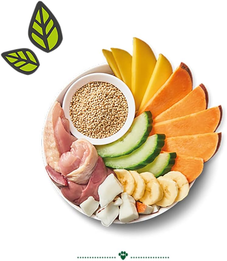 Expiring On- 10/02/2026- Lily's Kitchen Dog Carnival Chicken Wet Food 400g