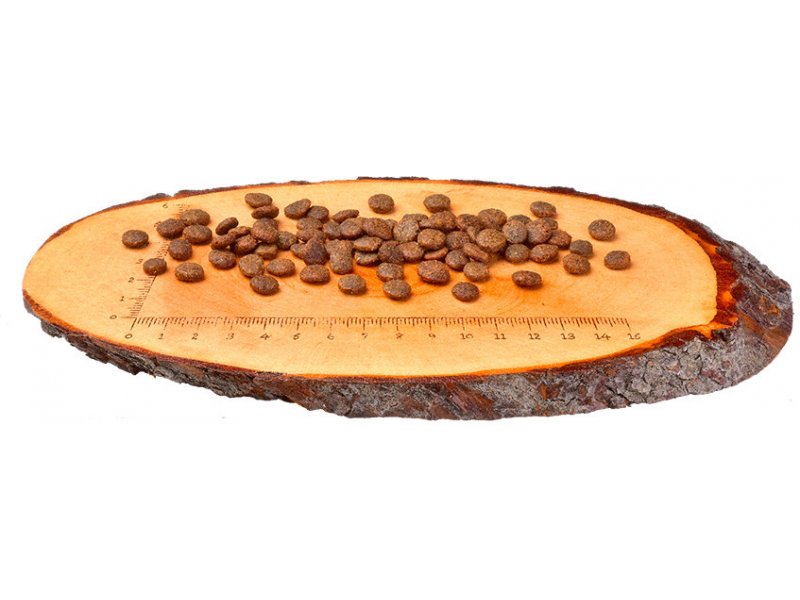 Expiring On-  11/02/2026- Carnilove Fresh Carp & Trout for Adult Cats 2kg