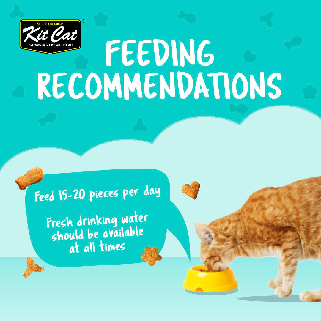 Expiring On-  13/02/2026- Kitcat Kitty Crunch Lamb Flavor 60g