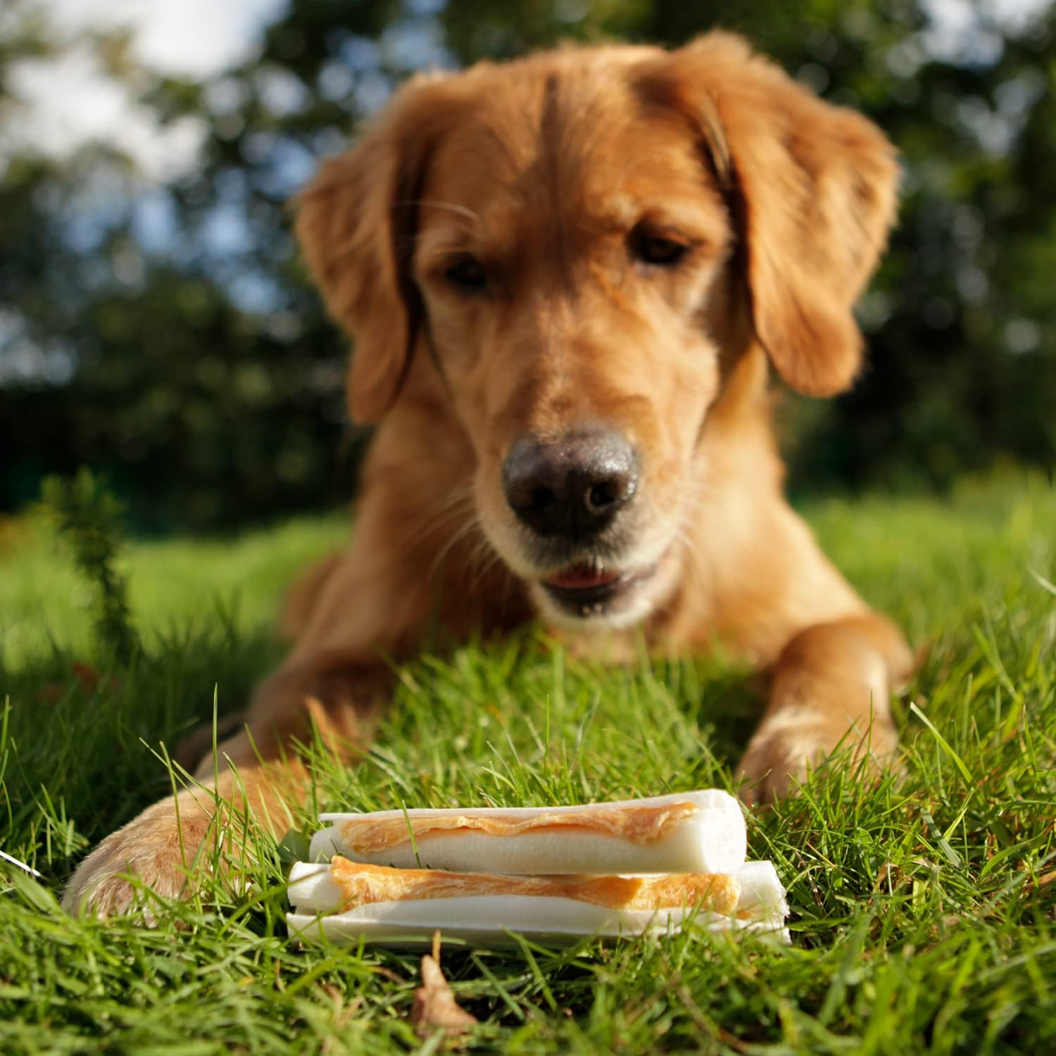 Expiring on- 14/02/2026 - 8in1 Delights Chicken Sticks 3Ct