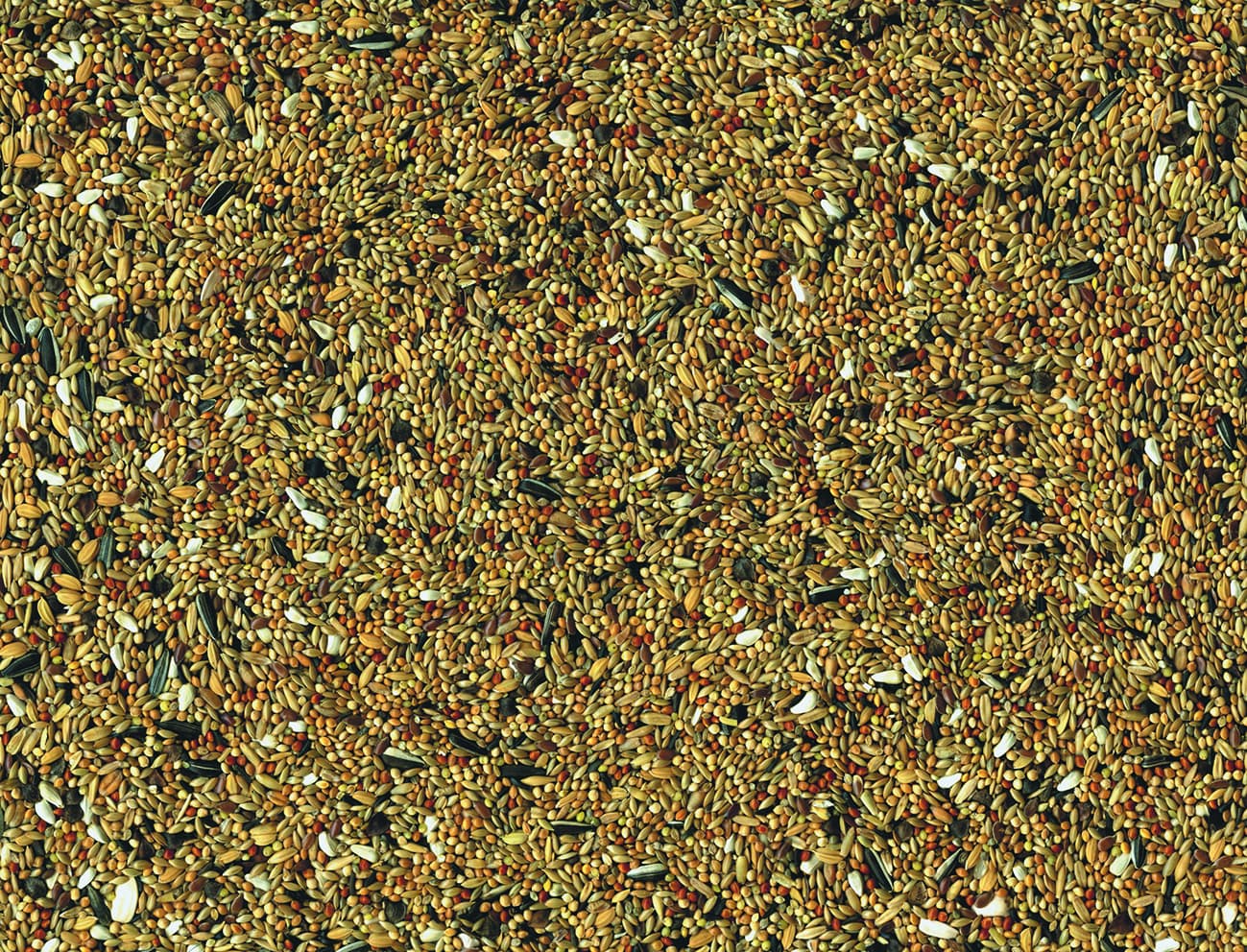 Expiring On- 17/03-  Vadigran Parakeet 1 kg