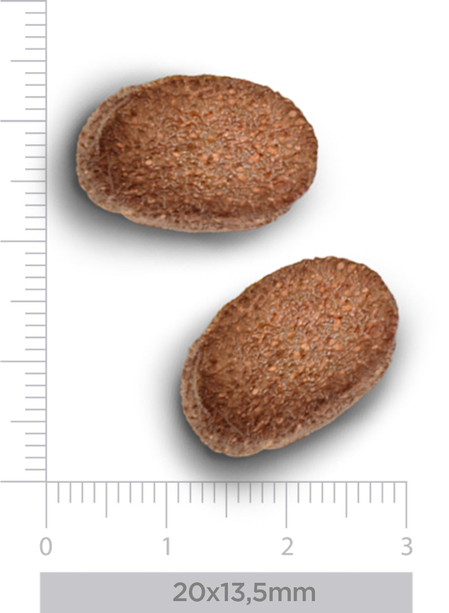 Expiring On- 17/06-  Trovet Plus Adult Dog Hypoallergenic Insect Veterinary Diets 3kg