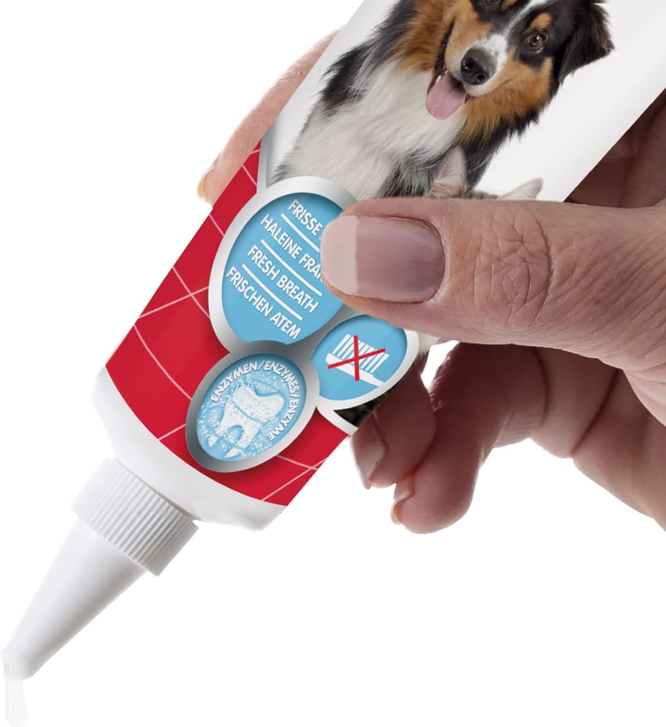 Expiring On-  18/02/2026- Tooth Gel 100g