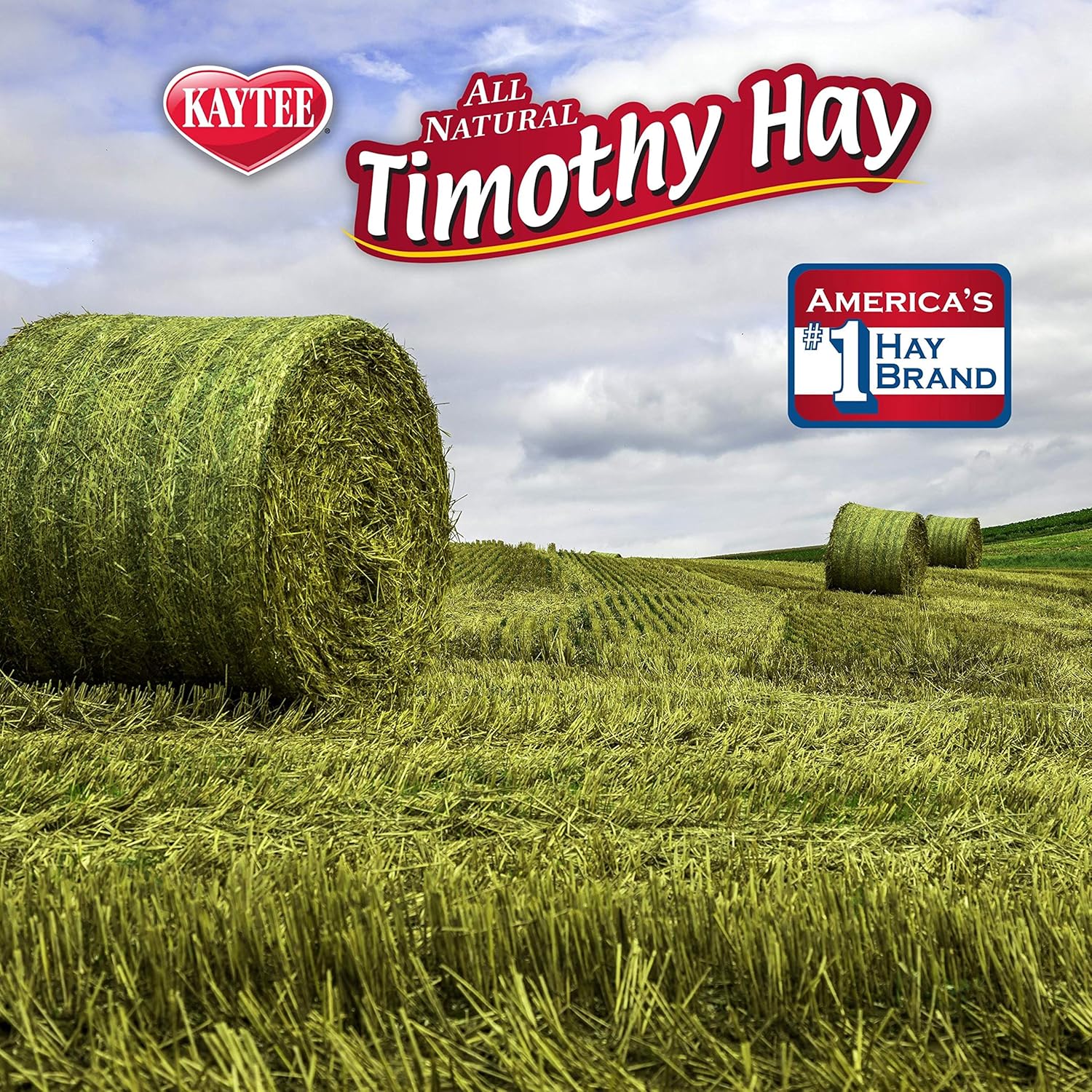 Expiring On-  19/02/2026- Kaytee Kt Timothy Cubes 6/1Lb Small Animal Hay 500g
