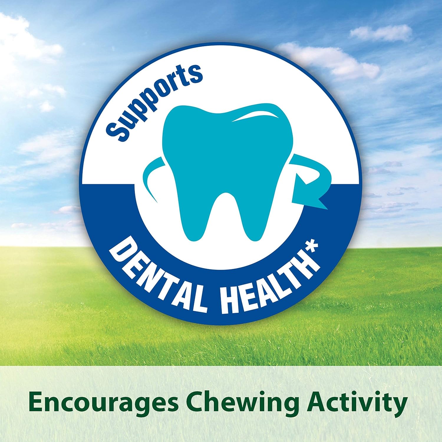 Expiring On-  19/02/2026- Kaytee Kt Timothy Cubes 6/1Lb Small Animal Hay 500g