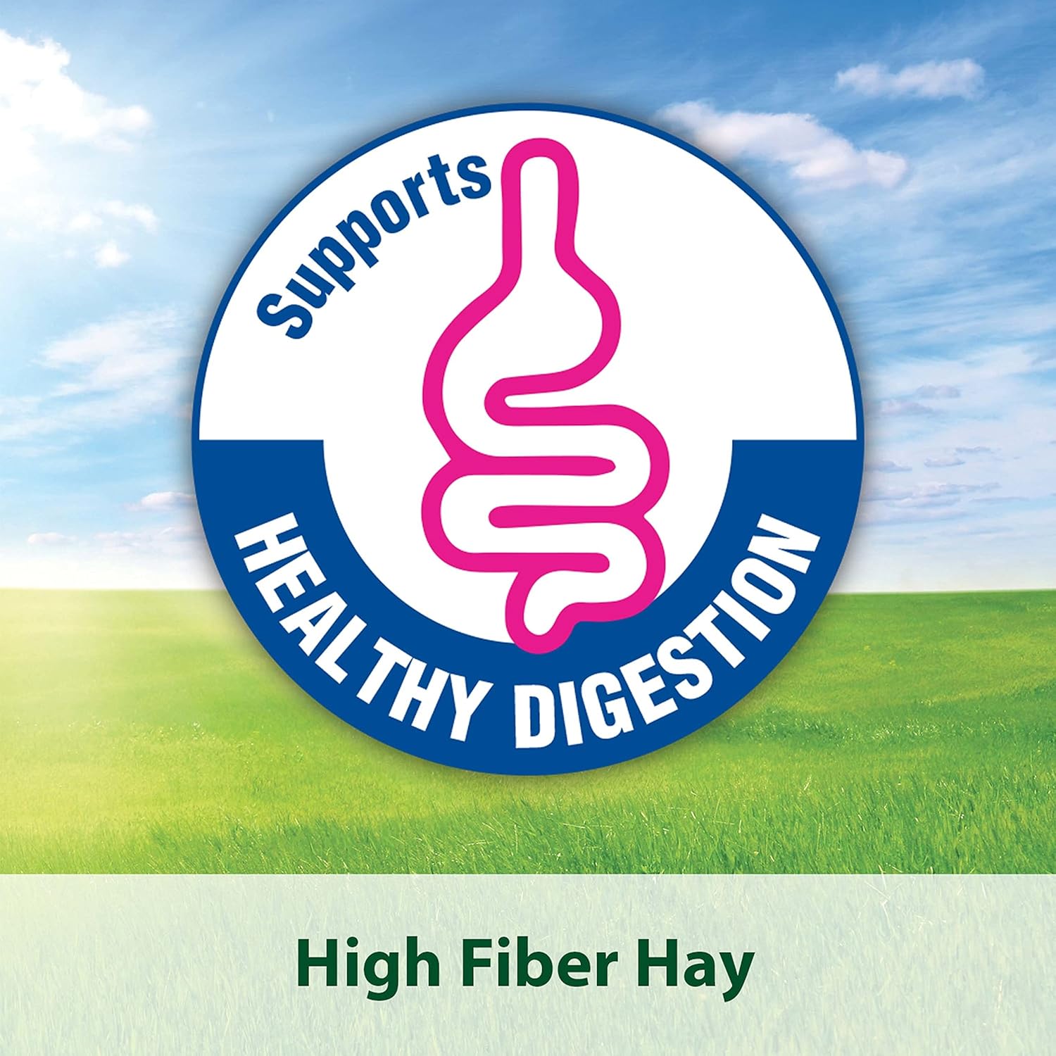 Expiring On-  19/02/2026- Kaytee Kt Timothy Cubes 6/1Lb Small Animal Hay 500g