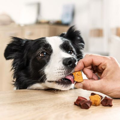 Expiring On-  22/02/2026- 8in1 Flavours Skewer Bites 100g