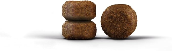 Expiring On-  26/02/2026- Josera Daily Cat Dry Food 2kg