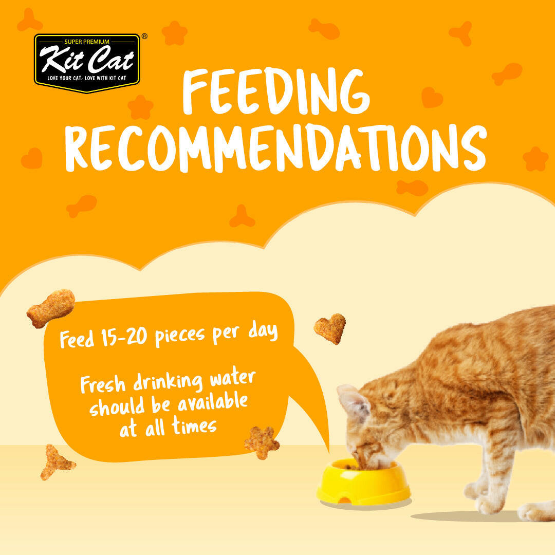 Expiring On-  26/02/2026- Kitcat Kitty Crunch Chicken Flavor 60g