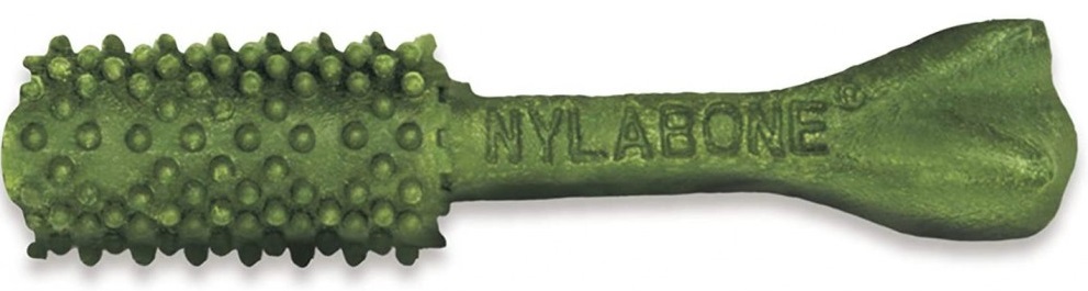 Expiring On- 26/06-  Nylabone Nutri Dent Fresh Breath 1Ct Small Edible Treats