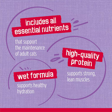 Expiring On-  28/02/2026- Purina Friskies Prime Fillet Cat Wet Food Turkey & Cheese 5.5oz