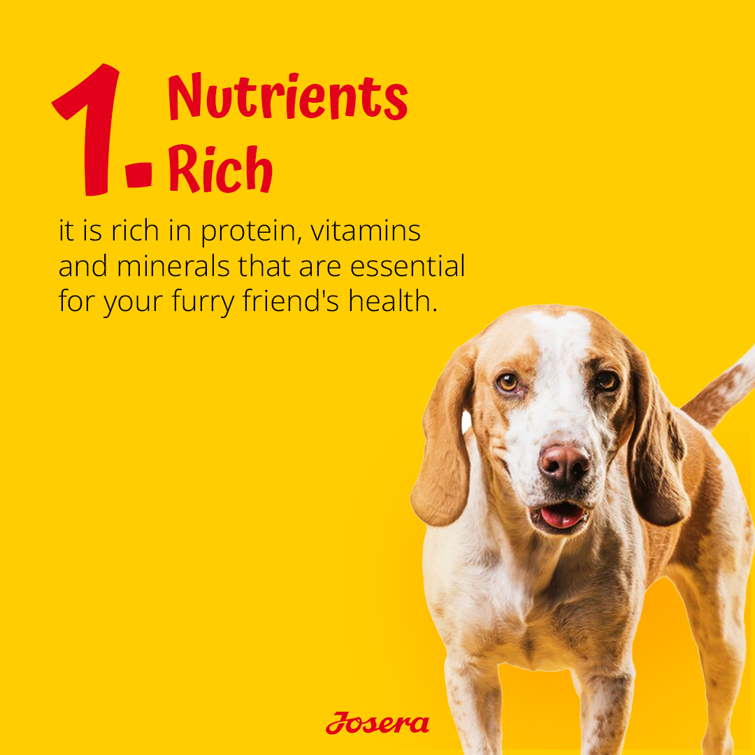 Expiry Date - 10/01/2026 Josera Josi Dog Junior Dry Food - 15kg