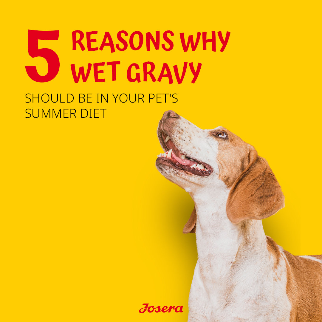 Expiry Date - 10/01/2026 Josera Josi Dog Junior Dry Food - 15kg