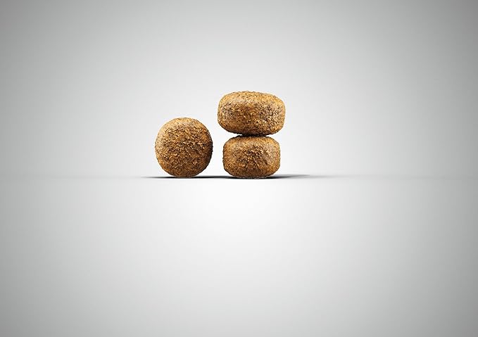 Expiry Date - 10/01/2026 Josera Balance Dog Dry Food 12.5kg