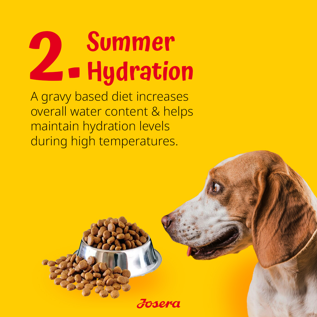 Expiry Date - 10/01/2026 Josera Josi Dog Junior Dry Food - 15kg