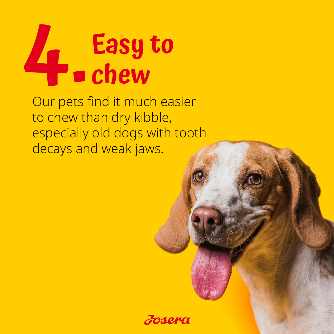 Expiry Date - 10/01/2026 Josera Josi Dog Junior Dry Food - 15kg