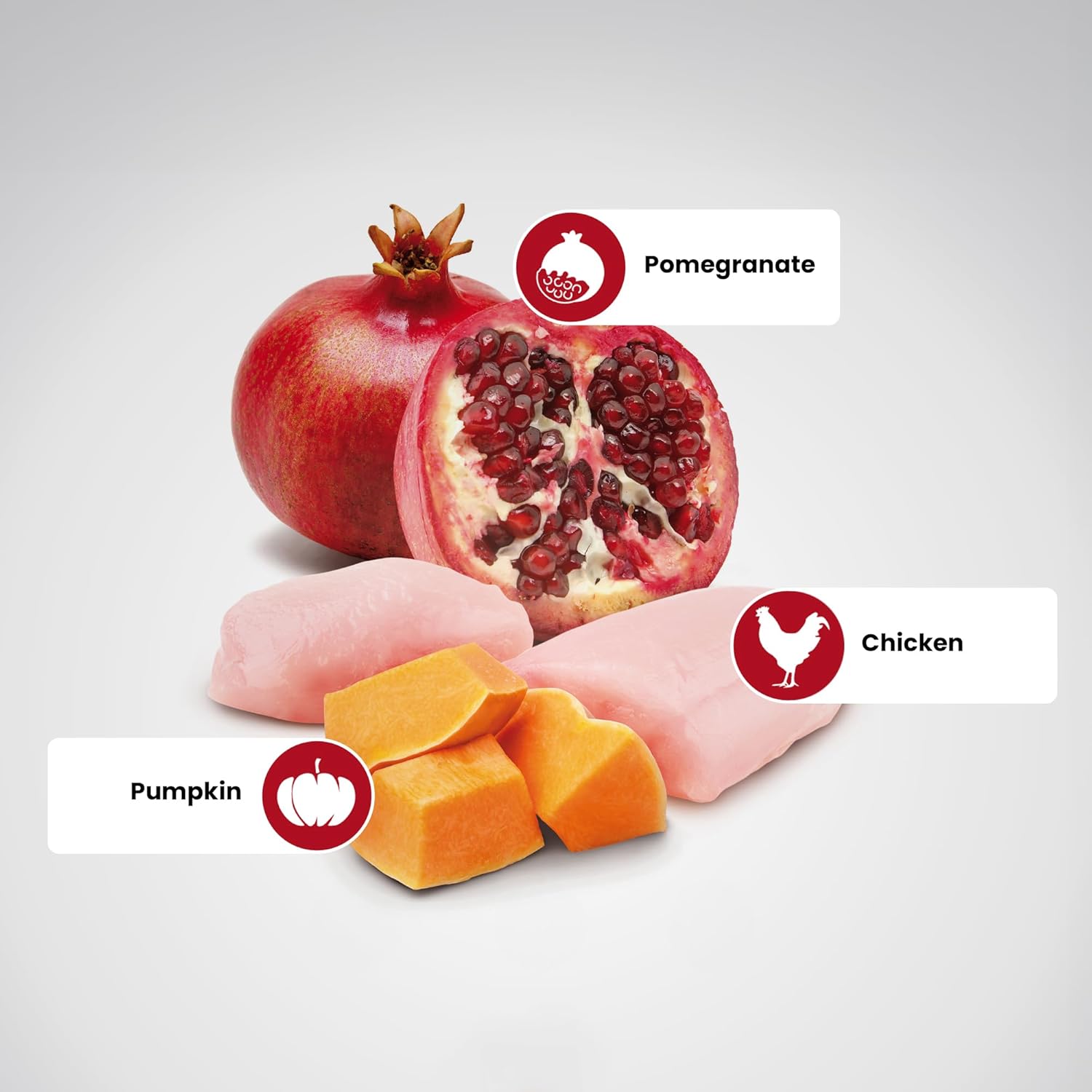 Farmina N&D Chicken, Pumpkin & Pomegranate for Mini Adult Dogs 2.5kg