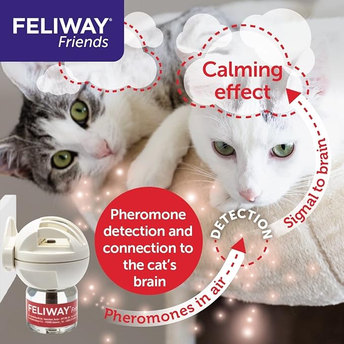 Feliway Friends Refill 48 ml