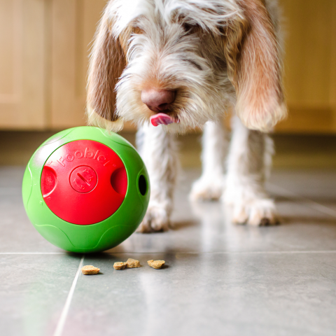 Foobler Ftbl ElectronicTreat Dispenser