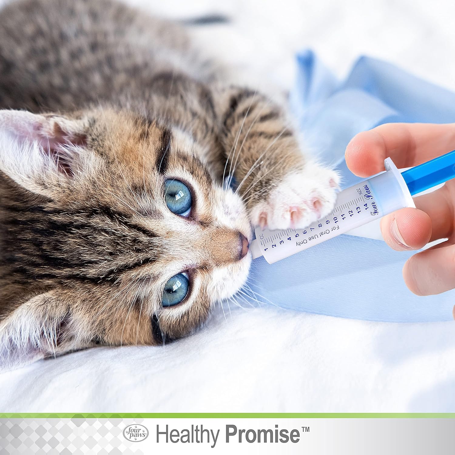 Four Paws Healthy Promise Easy Feeder One Size