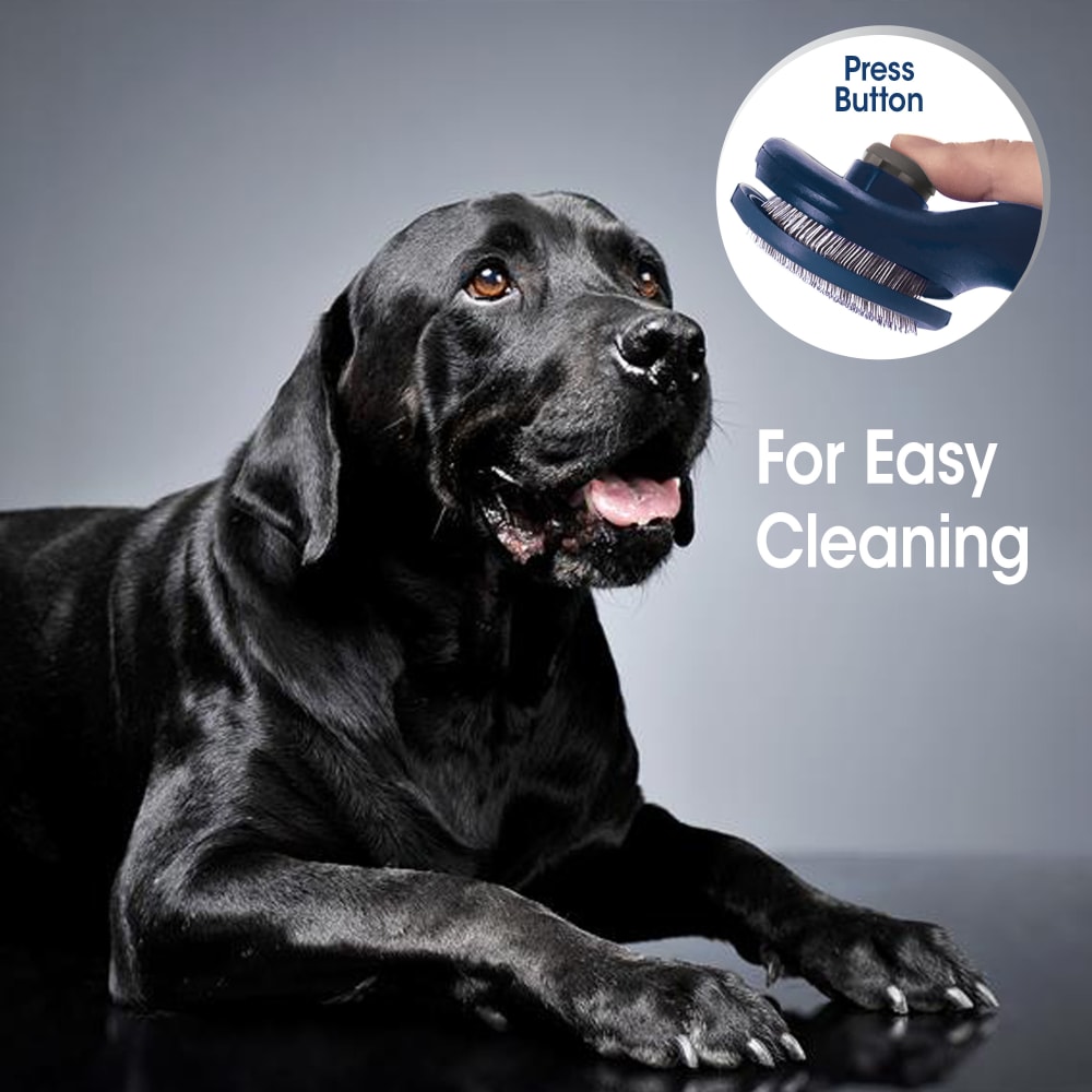 Four Paws Magic Coat Professional Series Self Cleaning Slicker Large One Size
