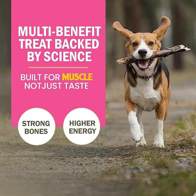 Gnawlers 2" Calcium Stick Dog Treat – Milk 270g
