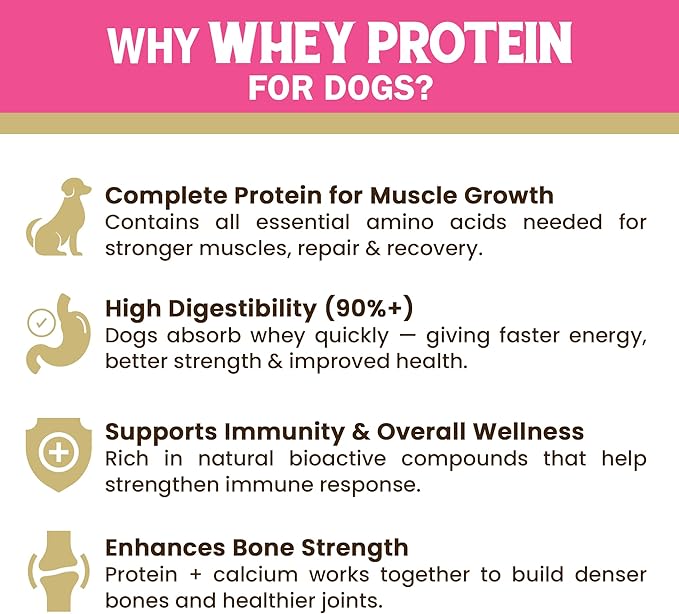 Gnawlers 2" Calcium Stick Dog Treat – Milk 270g