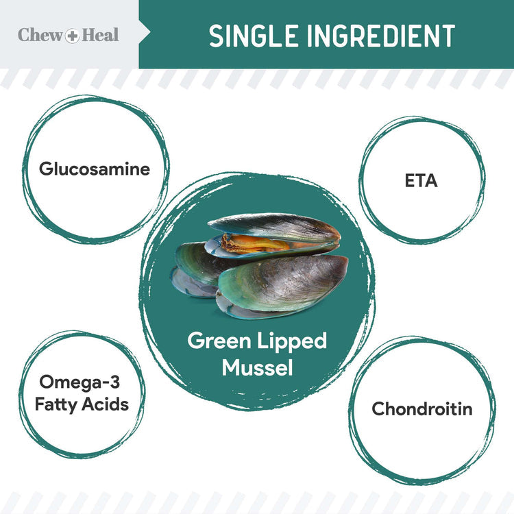 Chew & Heal - Green Lipped Mussel Powder Joint & Ligament Health Supplement for Dogs & Cats - 250gm