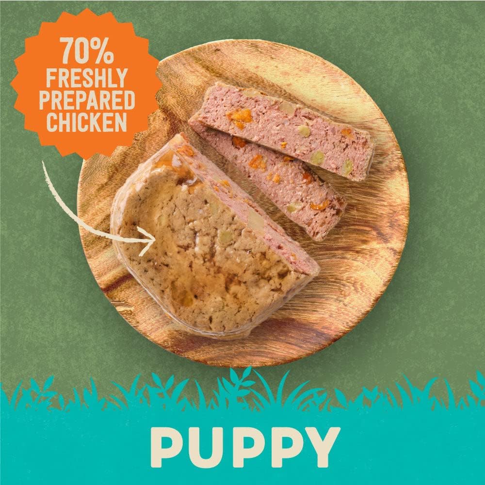 Harringtons Chicken & Potato Grain Free Wet Puppy Food 380g