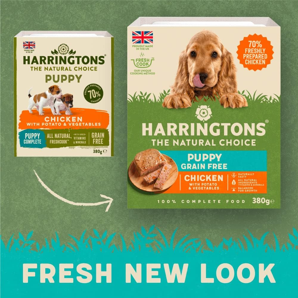 Harringtons Chicken & Potato Grain Free Wet Puppy Food 380g