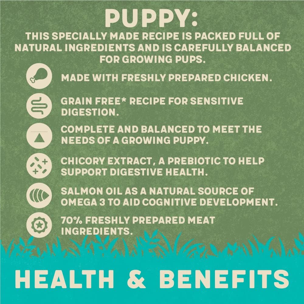 Harringtons Chicken & Potato Grain Free Wet Puppy Food 380g