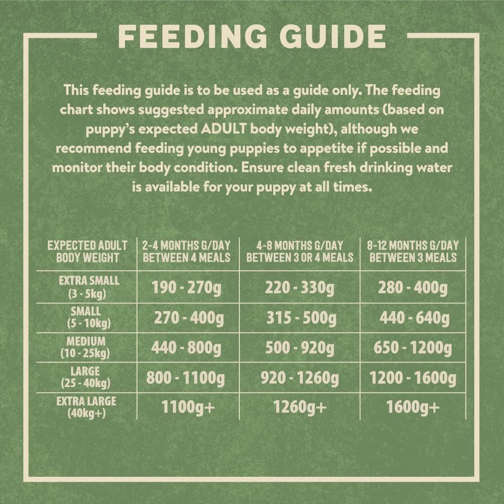 Harringtons Chicken & Potato Grain Free Wet Puppy Food 380g