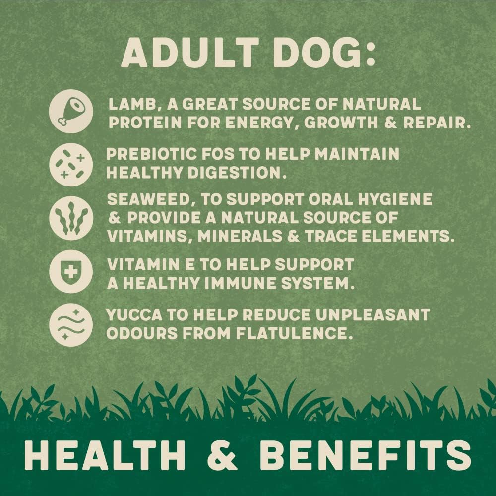 Harringtons Complete Lamb & Rice Adult Dry Dog Food 4KG