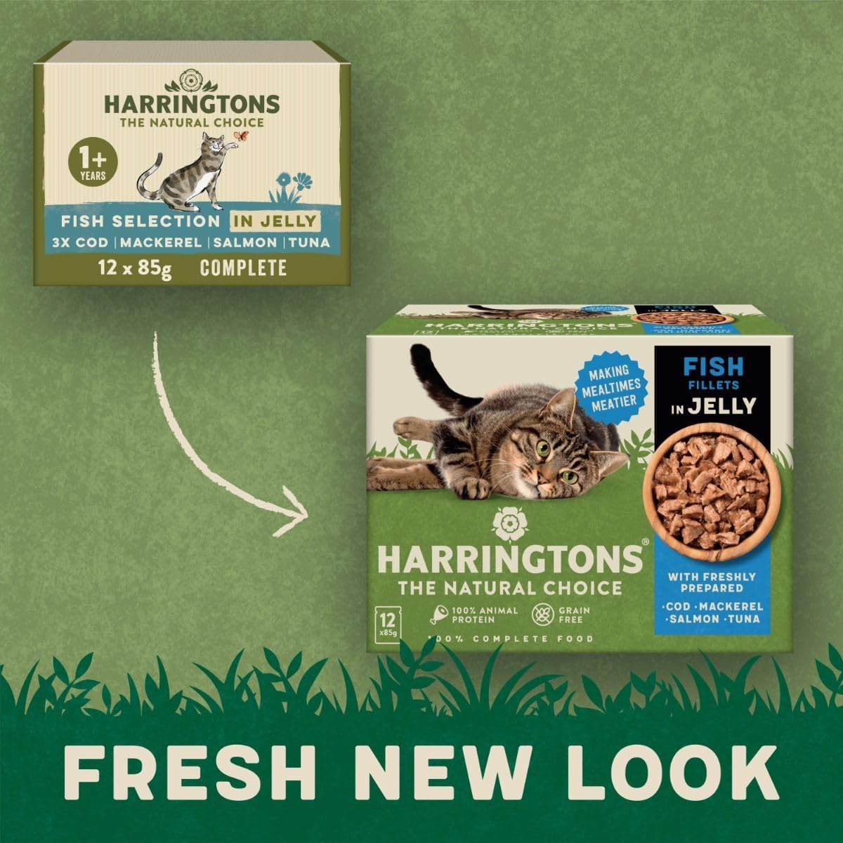 Harringtons Fish in Jelly Wet Cat Food Multipack