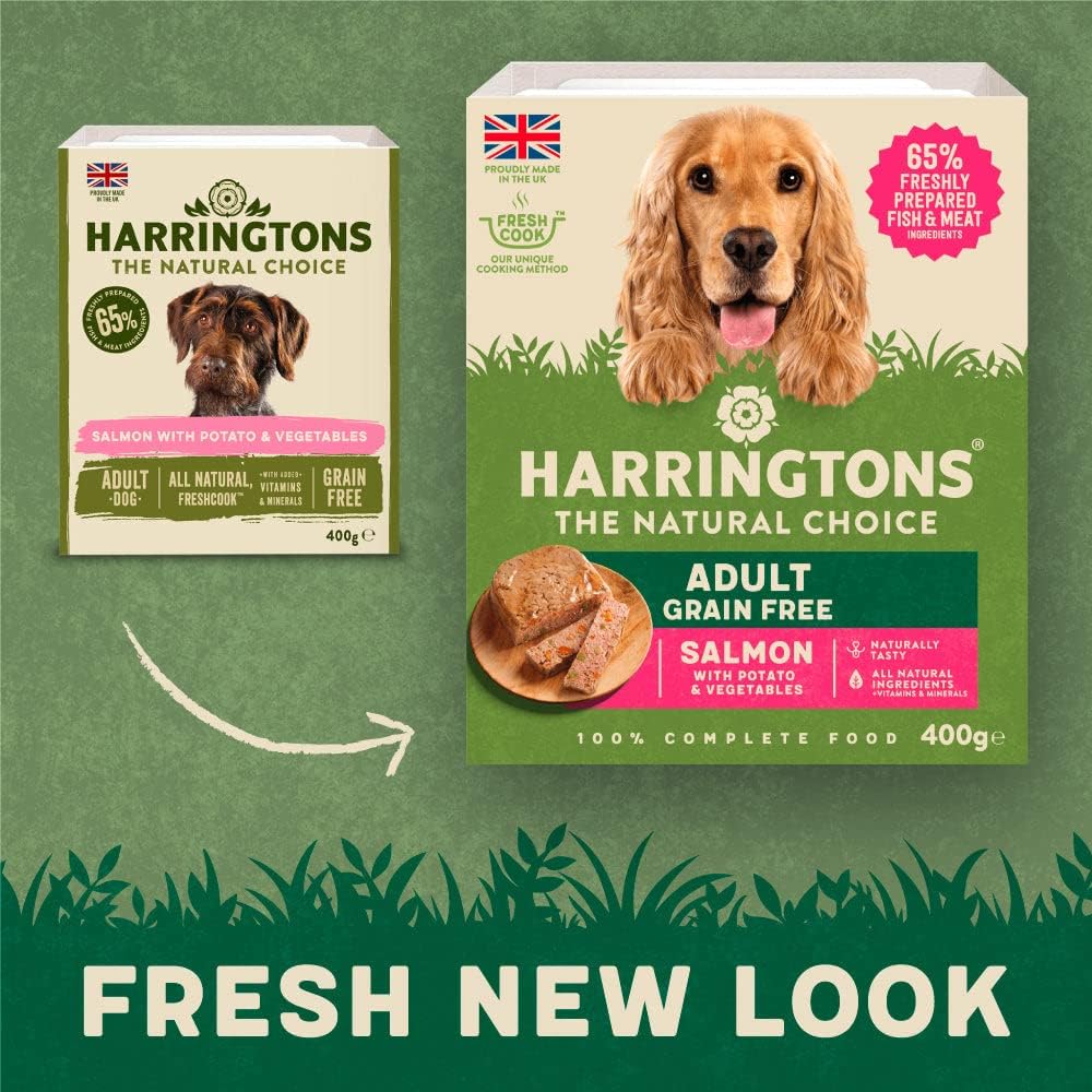 Harringtons Salmon Grain Free Adult Wet Dog Food 400g