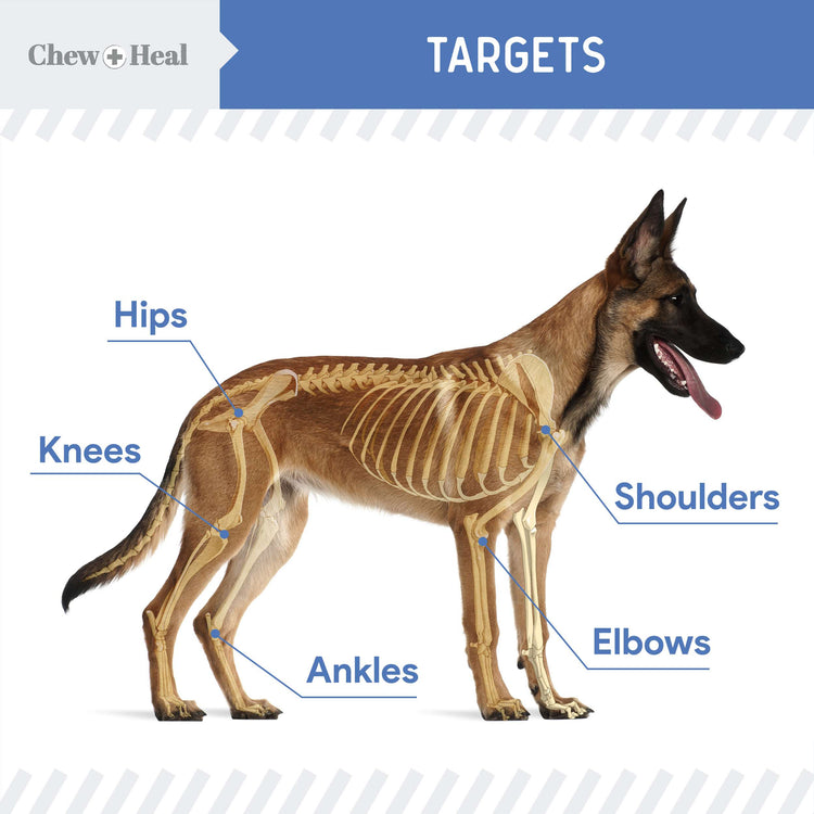 High-Potency Advanced Mobility Support Bacon Flavored Liquid Supplement for Senior Dogs - 250gm
