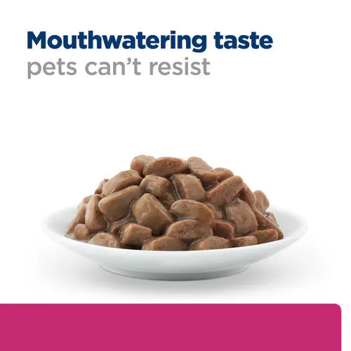 Hill's Science Plan Hypoallergenic Adult Wet Dog Food with Salmon 363g