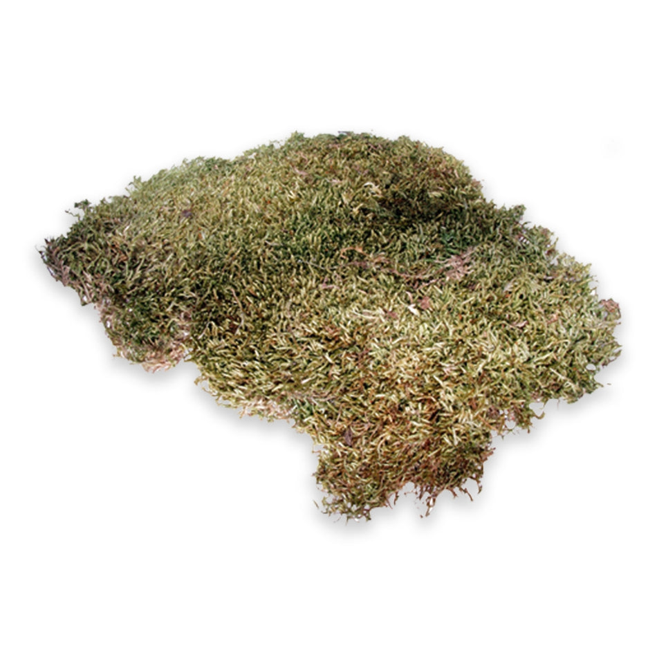 Hobby Terrano Natural Moss