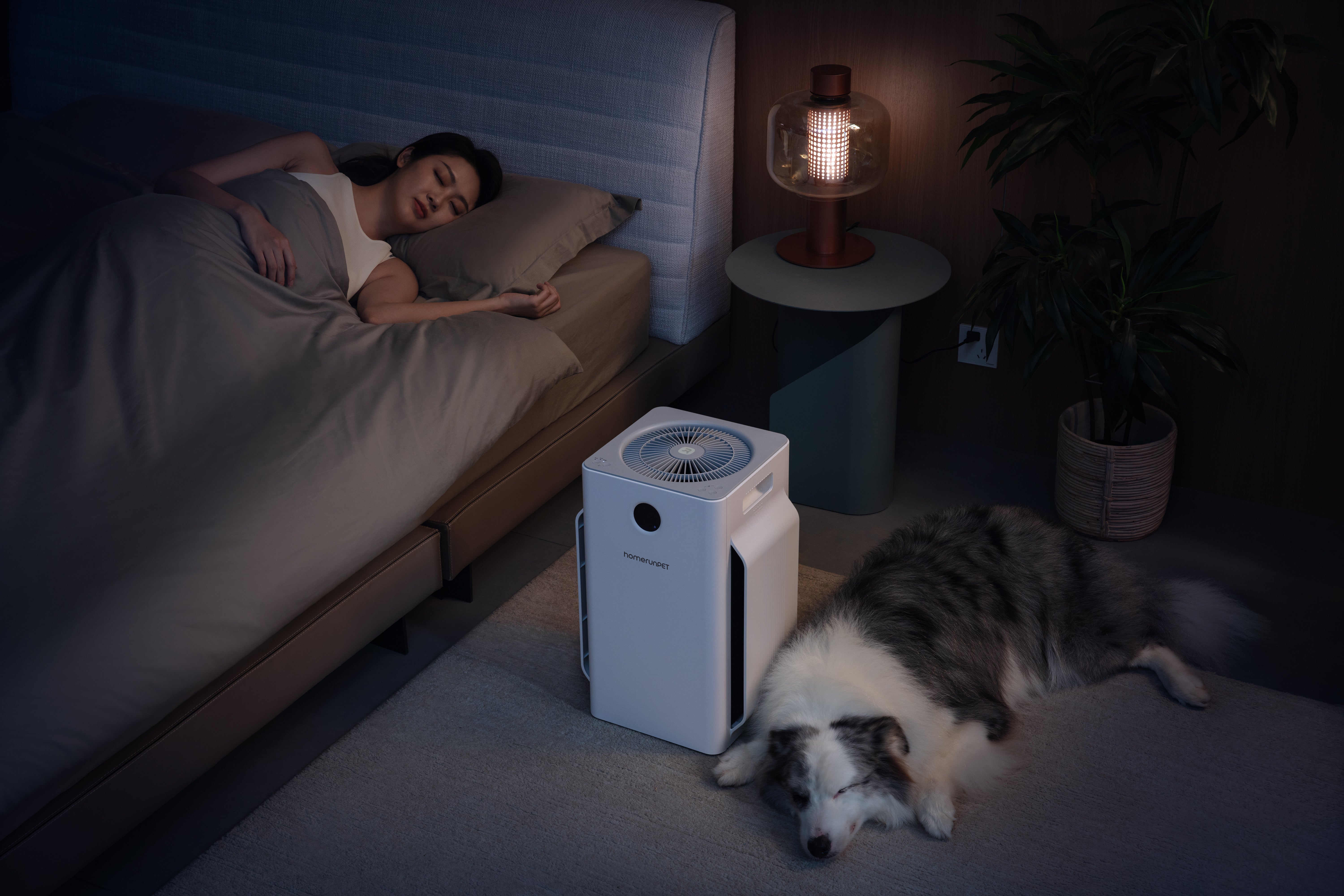 Homerunpet D1 Air Purifier