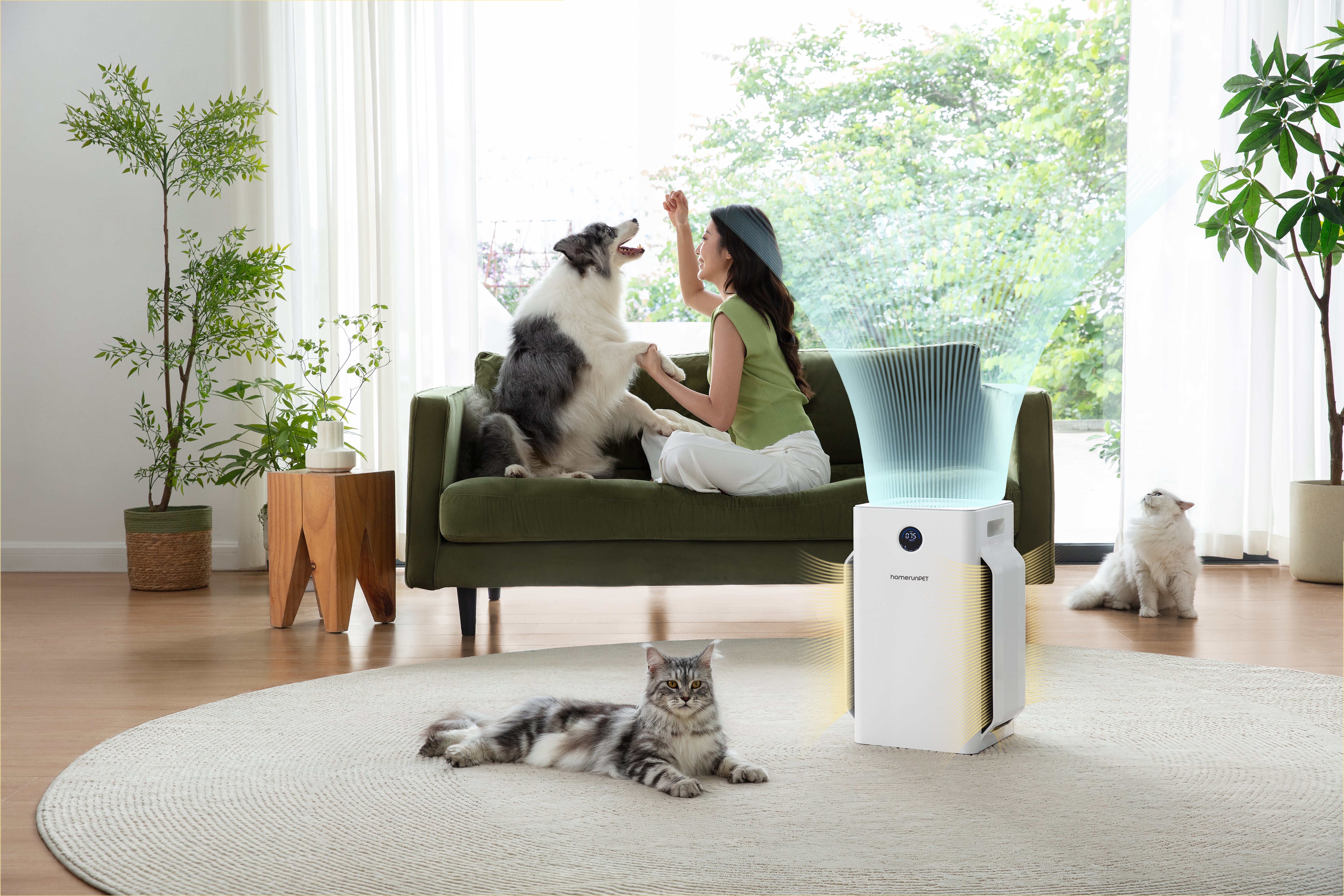 Homerunpet D1 Air Purifier