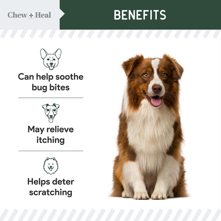 Chew & Heal - Hydrocortisone Lotion for Dogs - 250gm