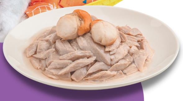 Inaba Dashi Delights Silky Broth Chicken Recipe Cat Treats 40g - Pack of 12