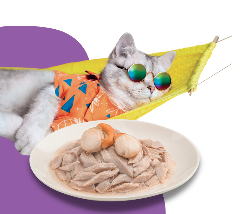 Inaba Dashi Delights Silky Broth Chicken Recipe Cat Treats 40g - Pack of 12