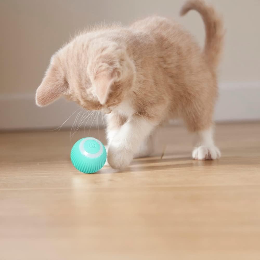 Interactive Cat Rolling Ball - Multicolors